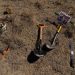 Buscadoras de Sonora encuentran una fosa con restos óseos y más de 50 casquillos percutidos