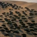 “El gobierno de Estados Unidos no es amigable con el ambiente”: Daniel Glick, documentalista