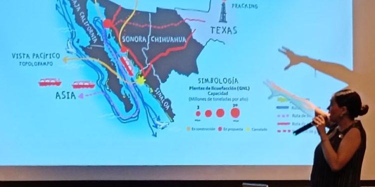 Ambientalistas advierten posibles impactos en el Golfo de California