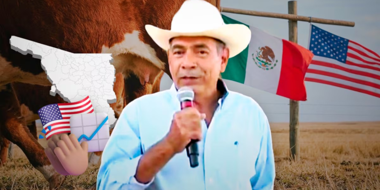 “Estamos contentos”: ganaderos de Sonora celebran regreso de exportaciones a Estados Unidos