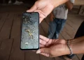 Gusano barrenador afecta a todo el continente: ONU