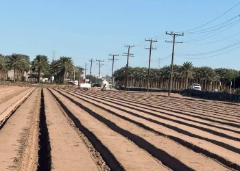 Sagarpha gestionará soluciones para productores agrícolas del valle de San Luis