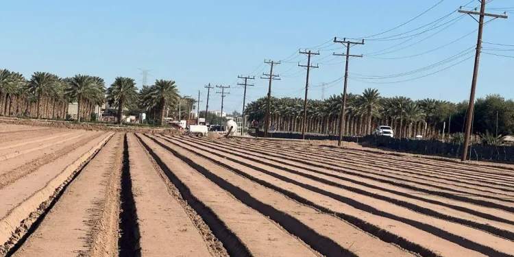Sagarpha gestionará soluciones para productores agrícolas del valle de San Luis