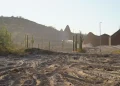Inicio del segundo muro fronterizo de Trump en Arizona amenaza oasis vital en desierto de Sonora