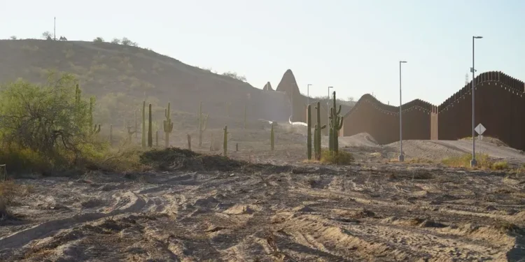 Inicio del segundo muro fronterizo de Trump en Arizona amenaza oasis vital en desierto de Sonora