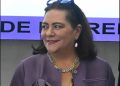 INE pide un presupuesto de 31 mil 431 millones de pesos