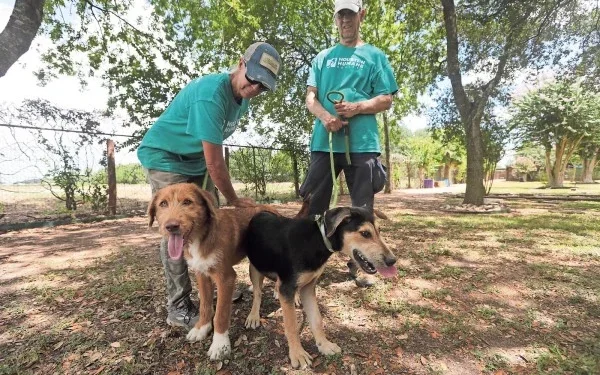 Frena gusano barrenador adopción de mascotas en Texas