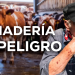 Autoridades ignoran la red criminal del ganado y su vínculo con el gusano barrenador