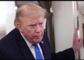 La popularidad de Trump en EU cae a mínimos históricos