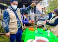 Con apoyo de sembradores, se han instalado más de 600 mil trampas contra el gusano barrenador