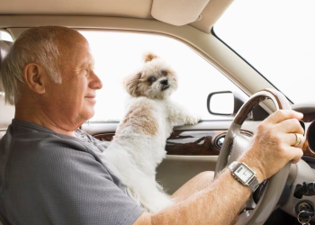 Si tienes más de 60 años en Sonora, INAPAM te da 50% de descuento en tu licencia de conducir: requisitos y cómo tramitarla