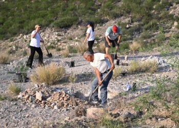 Sonora suma más de 13 mil plantas nativas a la Jornada Nacional de Reforestación