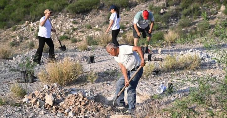 Sonora suma más de 13 mil plantas nativas a la Jornada Nacional de Reforestación