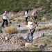 Sonora suma más de 13 mil plantas nativas a la Jornada Nacional de Reforestación