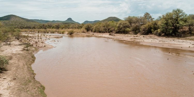 “Yo sí lloro por mi río”: a 12 años del derrame de Grupo México, el Río Sonora sigue contaminado