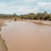 “Yo sí lloro por mi río”: a 12 años del derrame de Grupo México, el Río Sonora sigue contaminado