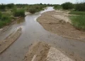 Sitios altamente tóxicos persisten en río Sonora a 12 años del derrame