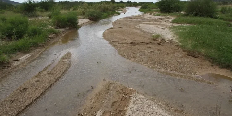 Sitios altamente tóxicos persisten en río Sonora a 12 años del derrame