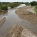 Sitios altamente tóxicos persisten en río Sonora a 12 años del derrame