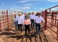 Supervisan estación cuarentenaria en Sonora ante reapertura de frontera ganadera con EU