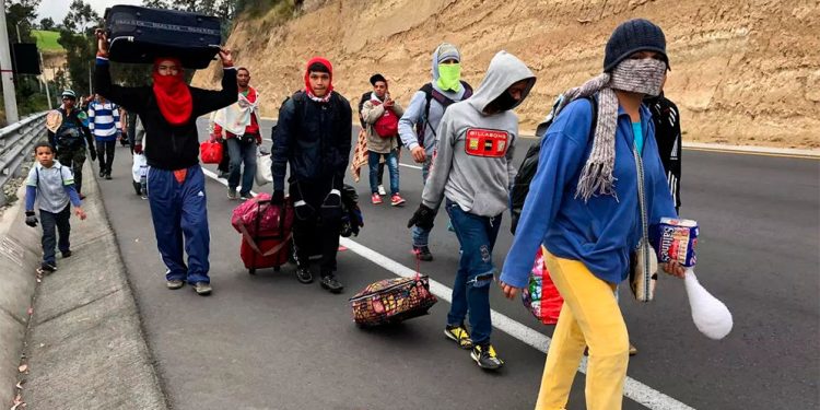 Migrantes deportados buscan regularizarse en México y vivir cerca de EEUU