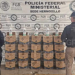 Aseguran 240 litros de metanfetamina líquida en Santa Ana, Sonora