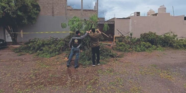 Fuertes lluvias afectan a BCS, Sonora y Sinaloa
