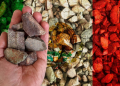 El Servicio Geológico Mexicano destinará US$16 millones a litio, minerales críticos y radiactivos