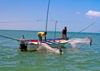Pescadores del norte de Sinaloa y sur de Sonora posponen fecha de levantamiento de veda .