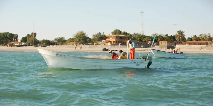 Conapesca pide a pescadores instalar dispositivos satelitales en embarcaciones