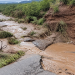 Colapsa Puente y Deja Incomunicado a Suaqui Grande tras Lluvias por Huracán Polo en Sonora
