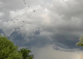 Pronóstico del Clima en Sonora: Lluvias Fuertes y Altas Temperaturas