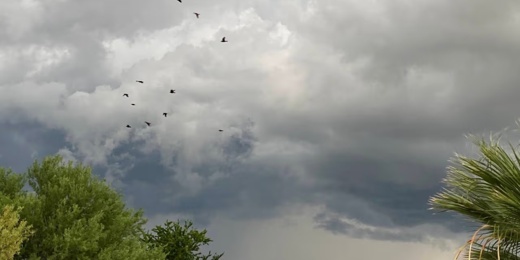Pronóstico del Clima en Sonora: Lluvias Fuertes y Altas Temperaturas