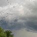 Pronóstico del Clima en Sonora: Lluvias Fuertes y Altas Temperaturas
