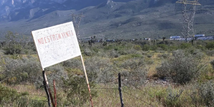 Mujer de 71 años se pone al ‘tú por tú’ con Elon Musk y lo involucra en presunto caso de despojo de terrenos en Nuevo León