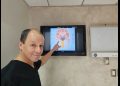 El procesamiento central auditivo, una de las tareas fundamentales del cerebro