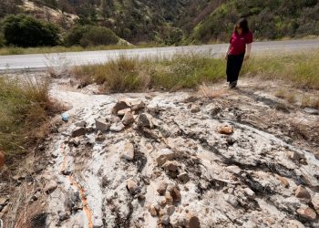 Profepa ordena medidas urgentes e inicia procedimiento administrativo tras derrame en la carretera Ímuris-Cananea