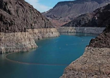 Agricultores de Mexicali viven una situación crítica con reducción de agua de riego del Río Colorado: El Colef