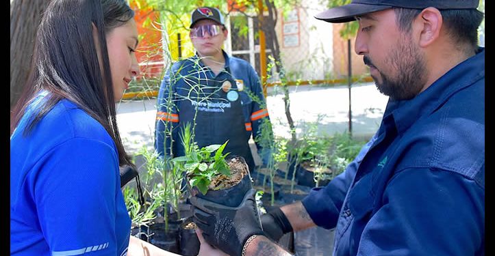 Donará Ayuntamiento de Hermosillo árboles nativos en el Vivero Municipal