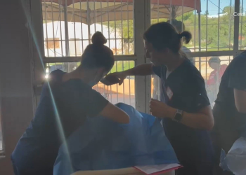 Cientos de perros y gatos quedaron abandonados tras la violencia en una frontera de Sonora; voluntarios proveen servicios
