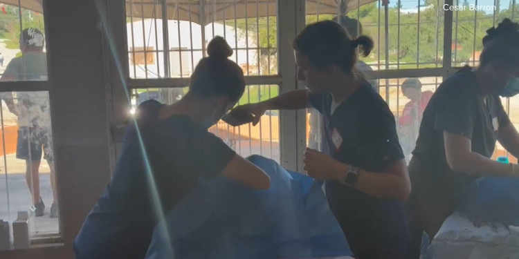 Cientos de perros y gatos quedaron abandonados tras la violencia en una frontera de Sonora; voluntarios proveen servicios