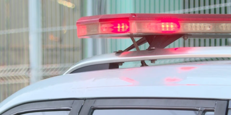 Cuatro Hombres Detenidos por Presuntamente Agredir a sus Parejas en Hermosillo