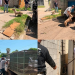 Sujeto a Prisión por Presunto Intento de Homicidio y Robo con Violencia en Nogales