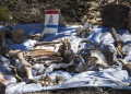 Sonora registra 324 atrocidades y 90 fosas clandestinas en menos de dos años, reporta ONG Causa en Común