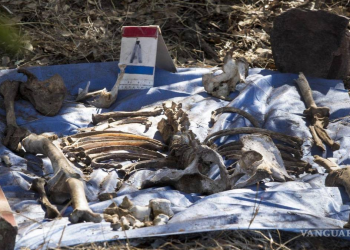 Sonora registra 324 atrocidades y 90 fosas clandestinas en menos de dos años, reporta ONG Causa en Común
