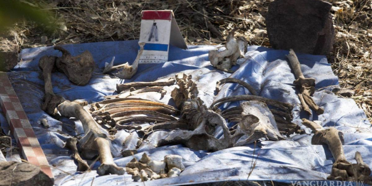 Sonora registra 324 atrocidades y 90 fosas clandestinas en menos de dos años, reporta ONG Causa en Común