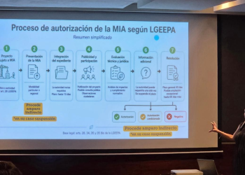 Suspensiones judiciales mantienen frenados los megaproyectos de GNL en Sonora: Nuestro Futuro