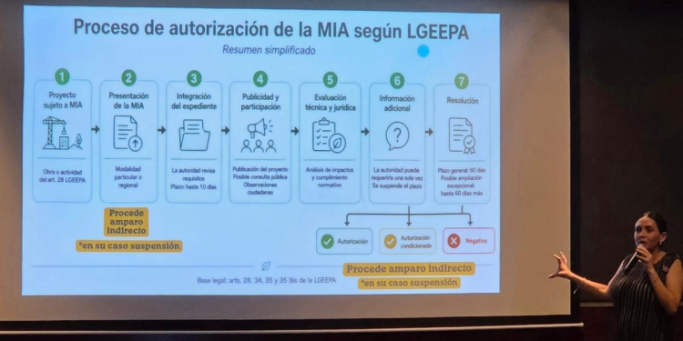 Suspensiones judiciales mantienen frenados los megaproyectos de GNL en Sonora: Nuestro Futuro
