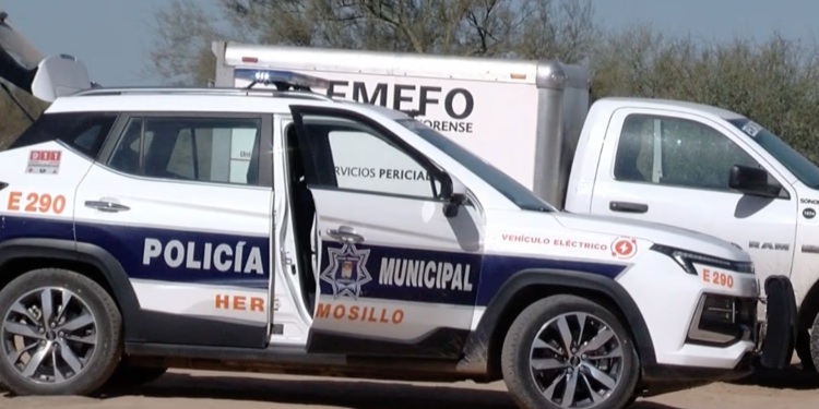 Encuentran a Hombre de la Tercera Edad en Estado de Descomposición en Hermosillo
