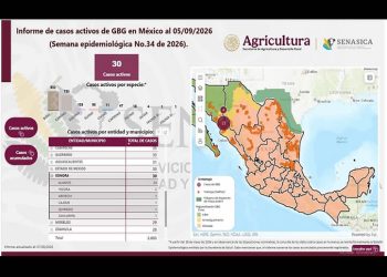 Llega Gusano Barrenador a Cajeme; suman 30 casos activos en Sonora